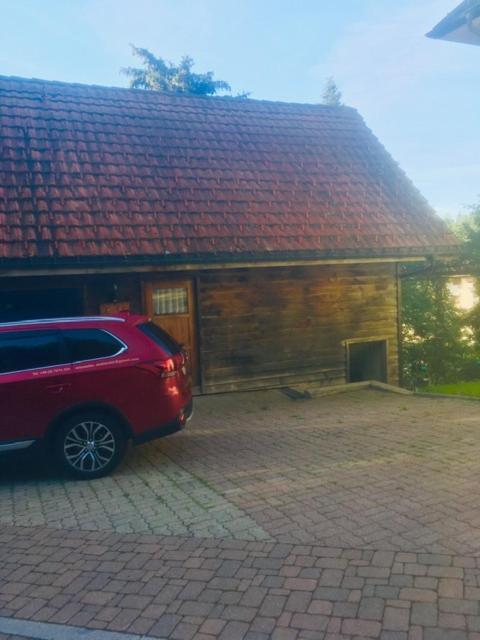 Kleines Haus Silberdistel Apartment Todtmoos Bagian luar foto